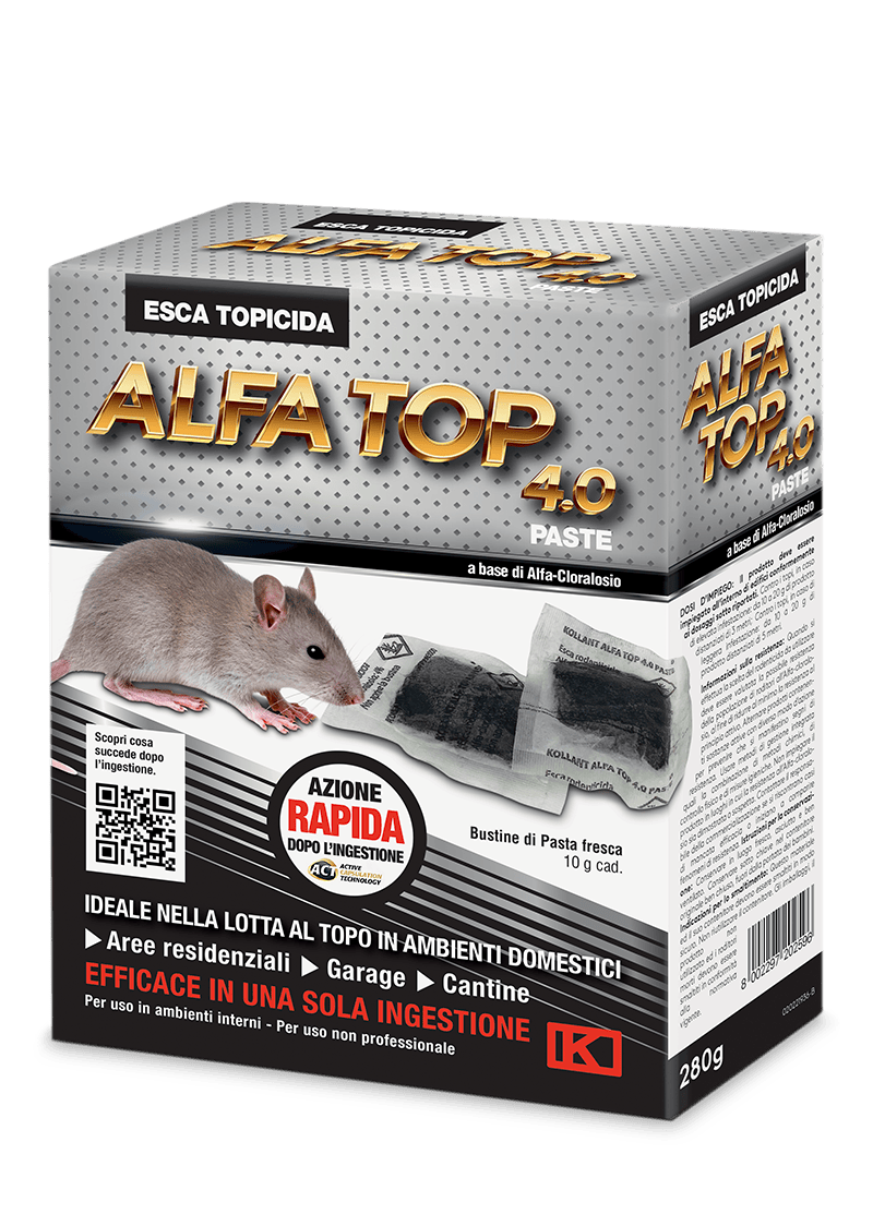 evid_alfa-top-4-paste-280g