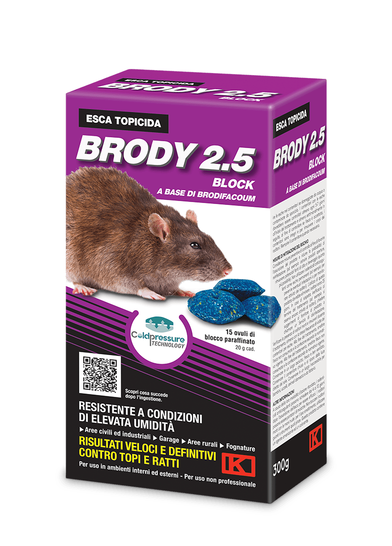 evid_brody-2-5-block