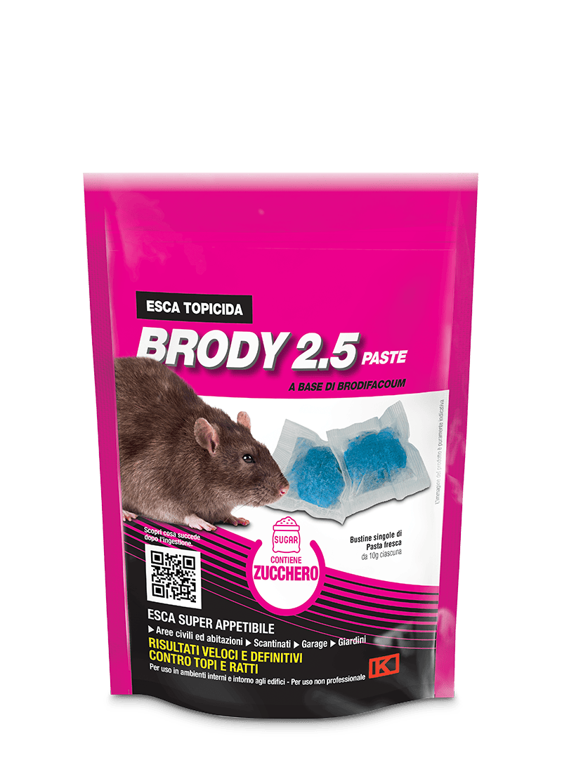evid_brody-2-5-paste-zucchero