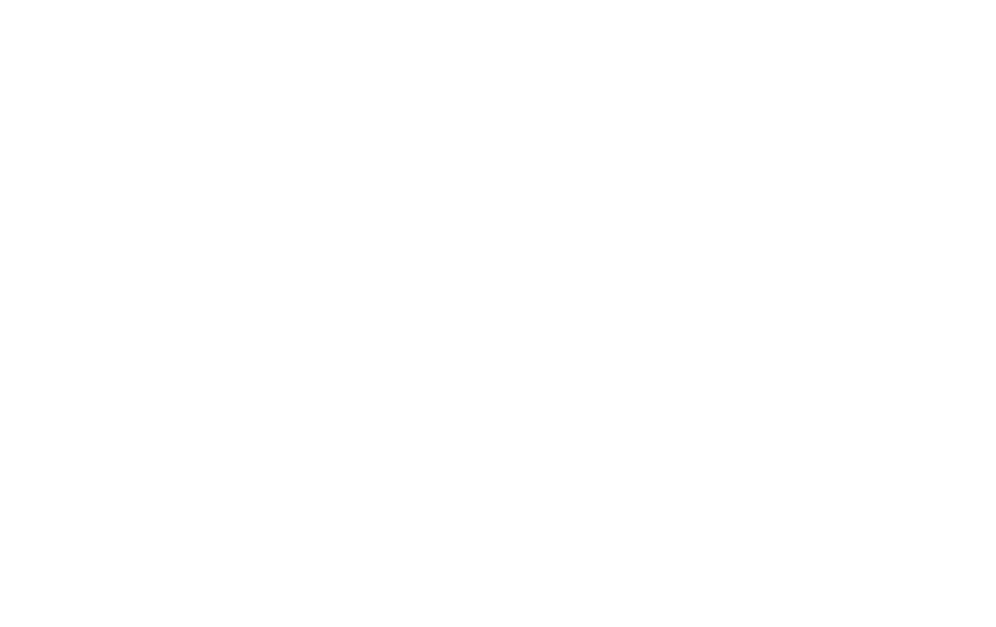 info_tecnologia-hybrid-raptor-2-5-pellet