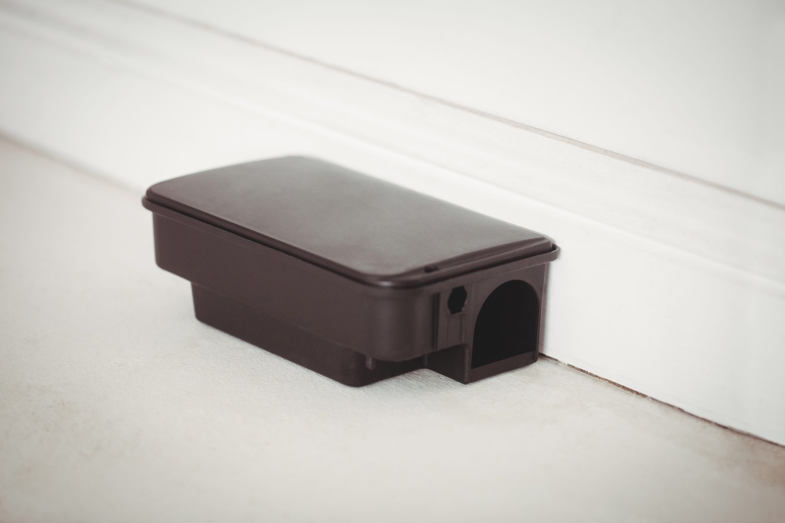 Rat,Bait,Box,On,White,Floor,In,A,Home